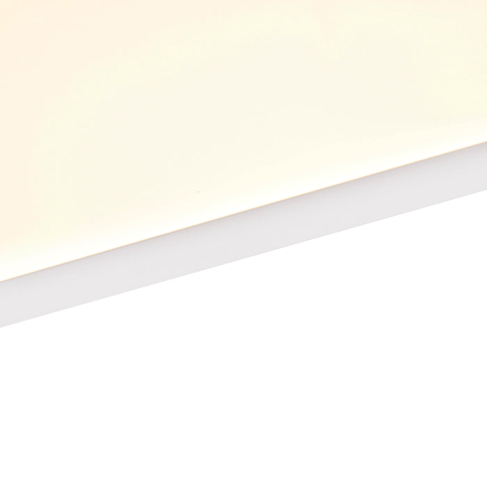 e438ab4d-21ff-4516-9c60-fd570f0c22c2-afbeelding5.jpg (3796195) 