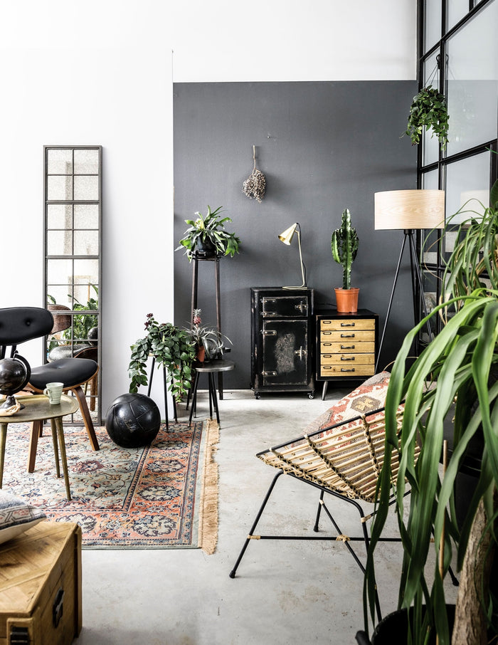 144922-2.jpg (3806171) 