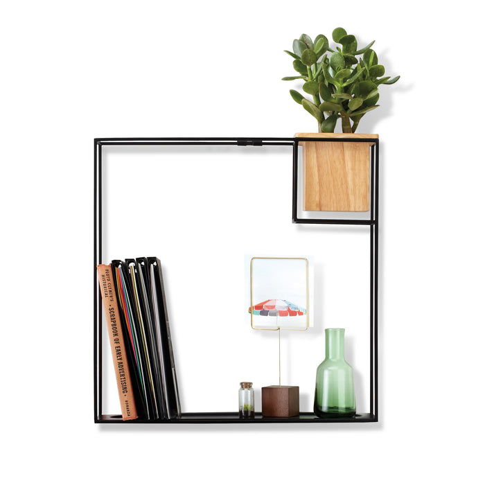 141924-x1.jpg (3811402) 