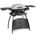 Weber Q2000 Gasbarbecue met Stand B 130 x D 59 cm
