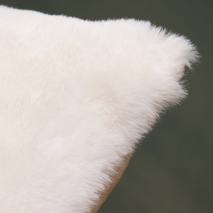 306927-x2.jpg (3821711) 