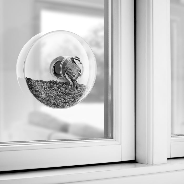 Eva Solo Window Bird Voederbol Ø 20 cm