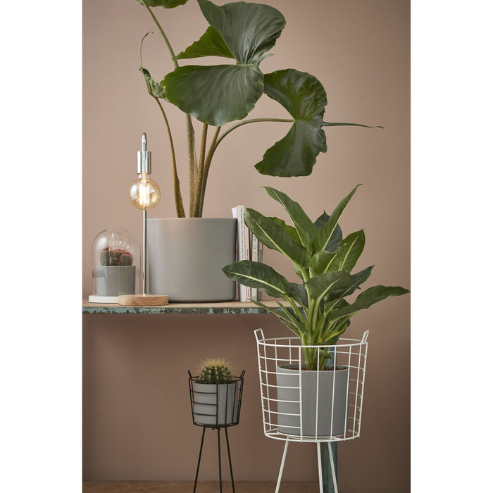 50925567-6c51-49d9-910e-7172f365da5b-sfeerbeeld.jpg (3831423) 