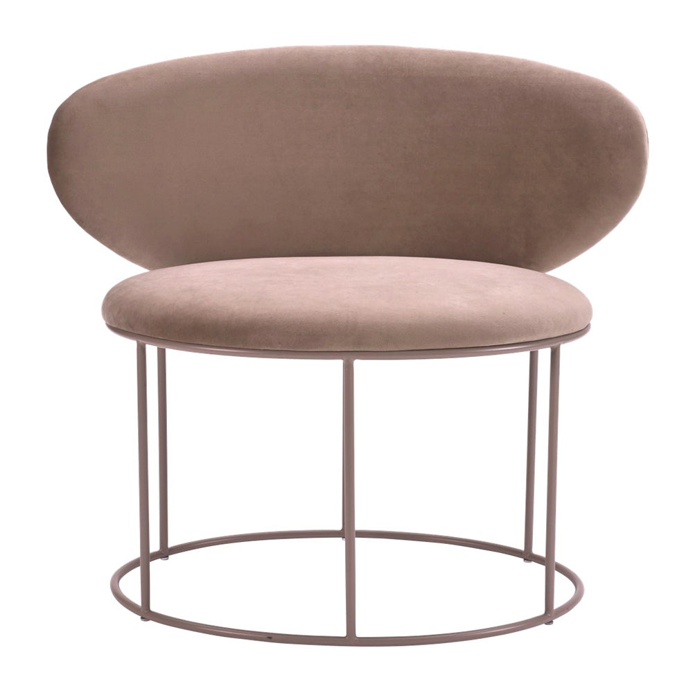 244934-x0.jpg (3837572) 