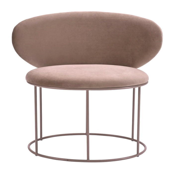 244934-x0.jpg (3837572) 