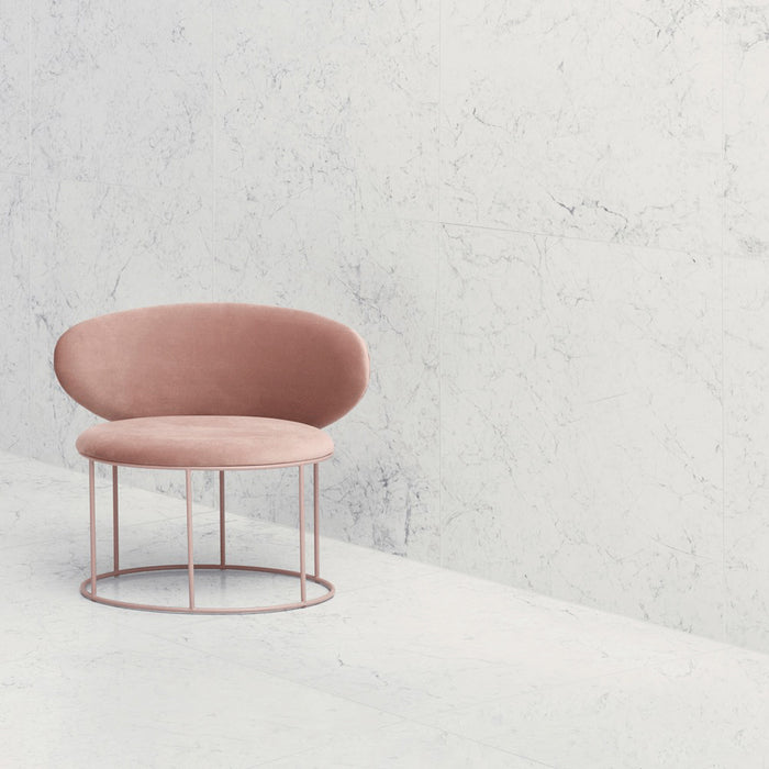 244934-x1.jpg (3837573) 