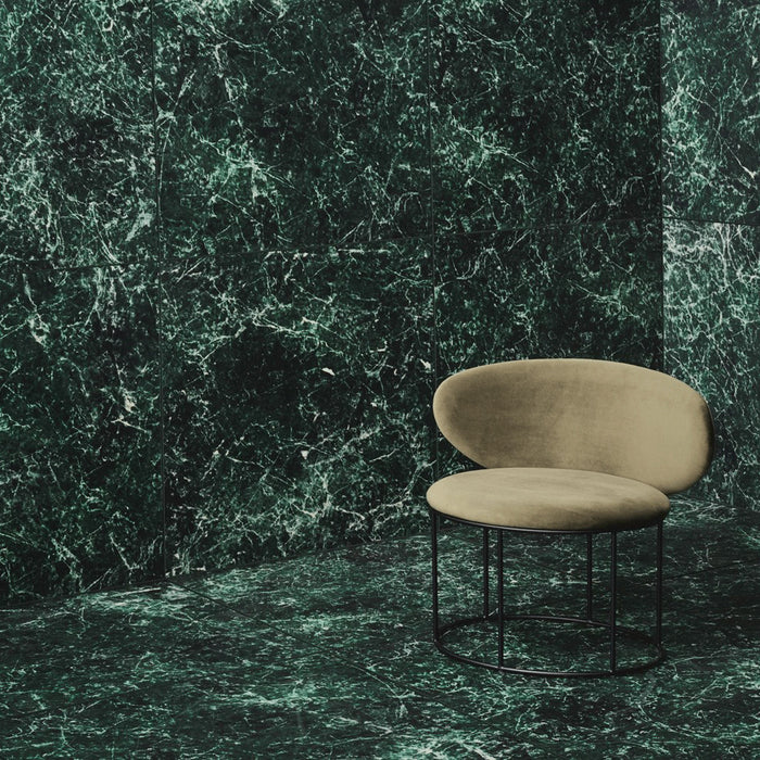 244934-x2.jpg (3837577) 