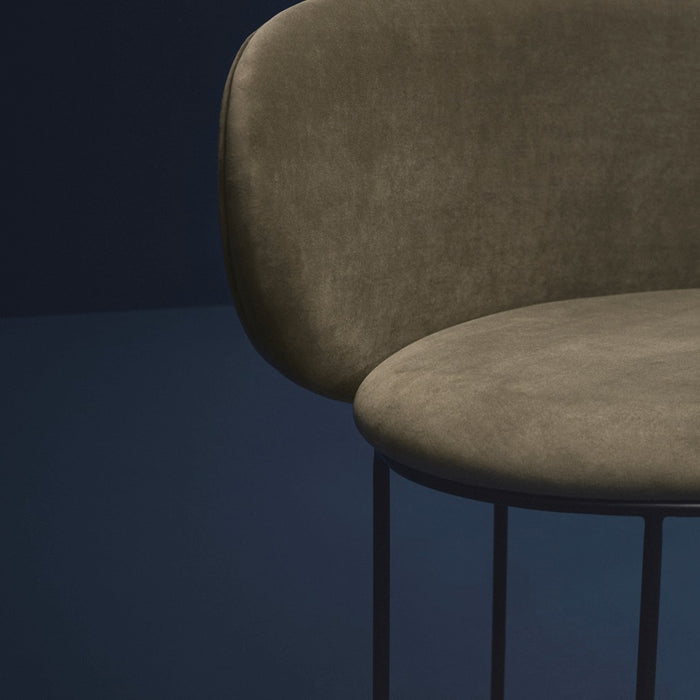 244934-x4.jpg (3837579) 