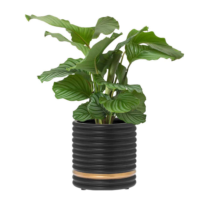 RIVERDALE - Bloempot Suus - H20cm - mat zwart