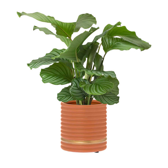 RIVERDALE - Bloempot Suus - H16cm - mat brique