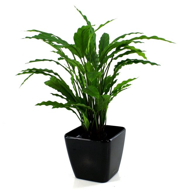 b11ffd35-2bce-46a8-b61e-8cd507776037-sfeerbeeld.jpg (3863526) 