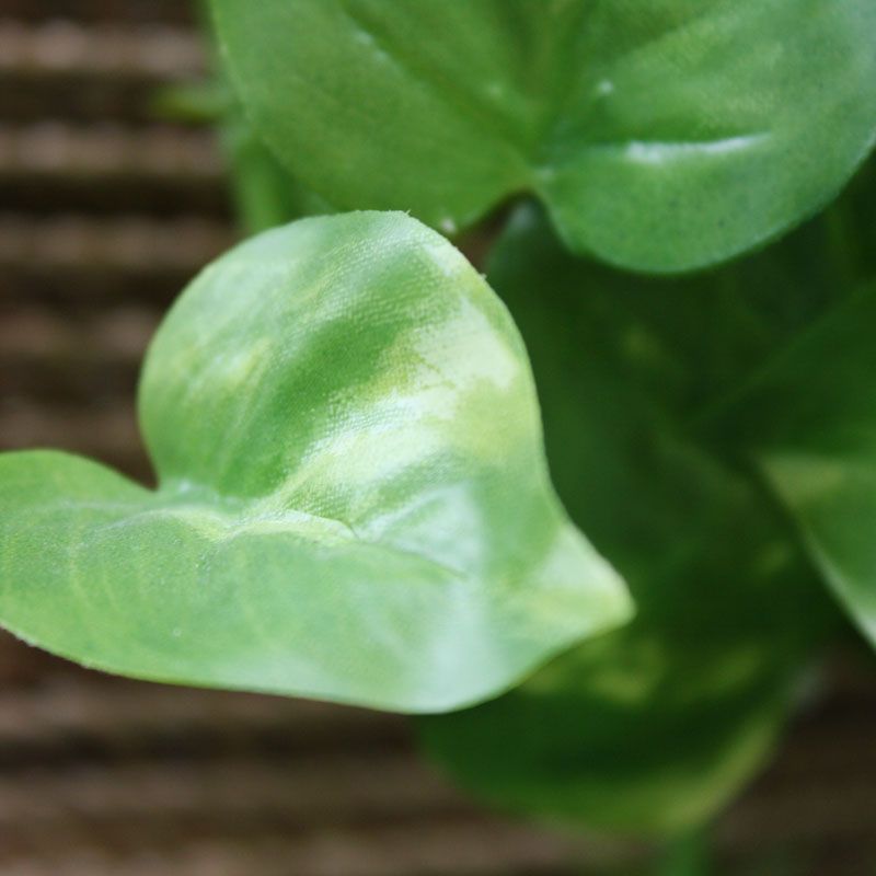 84d94cdc-b7d9-42a2-8dce-b2e855c4b6ad-sfeerbeeld.jpg (3874488) 