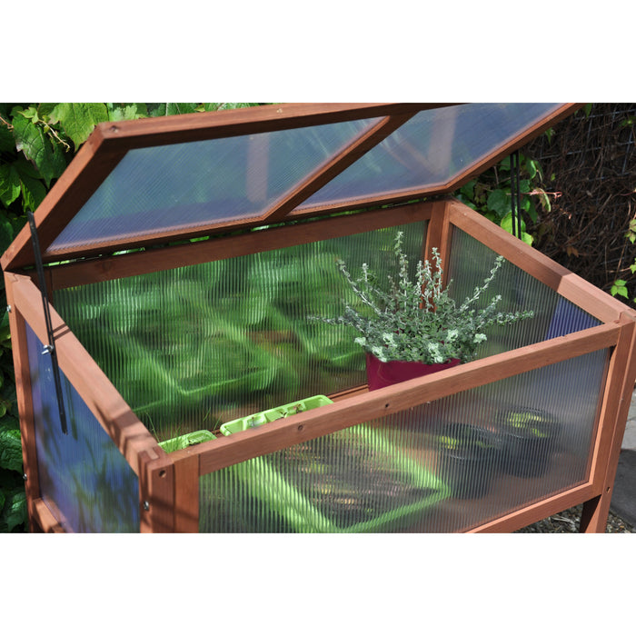 Royal Well Red Leaf Broeikas