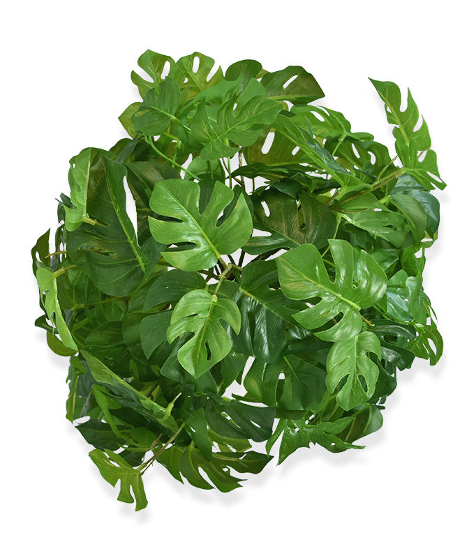 d488ef79-c021-42d9-9e8a-c1036f6bbf4c-sfeerbeeld.jpg (3893565) 