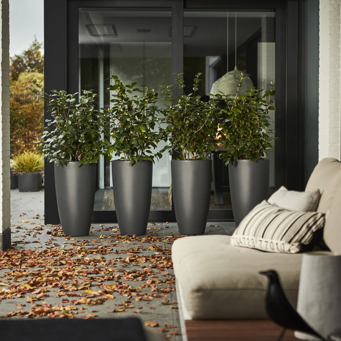 elho Pure Soft Round High Bloempot Ø 30 cm - Antraciet