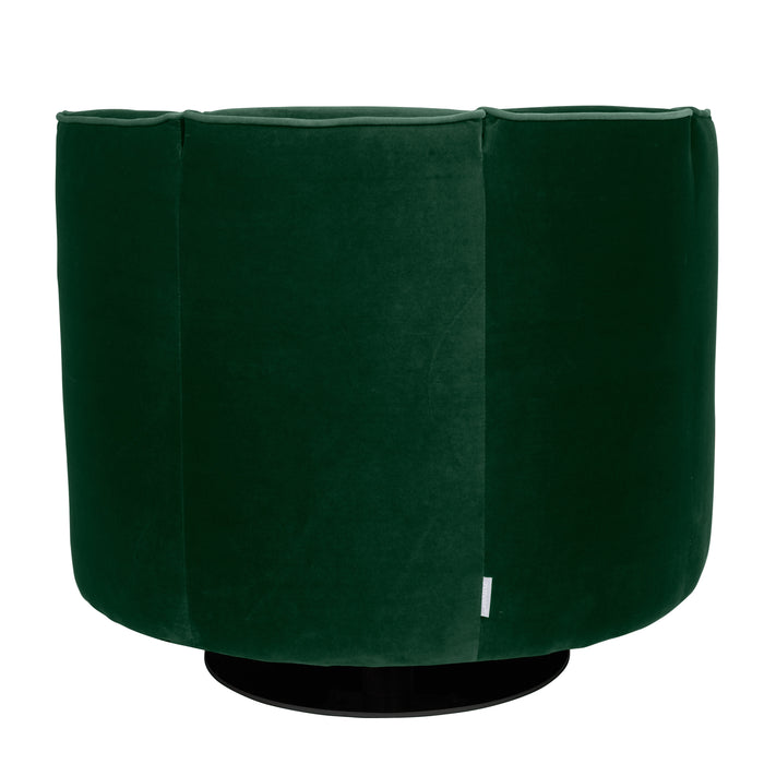 237960-x3.jpg (3899985) 