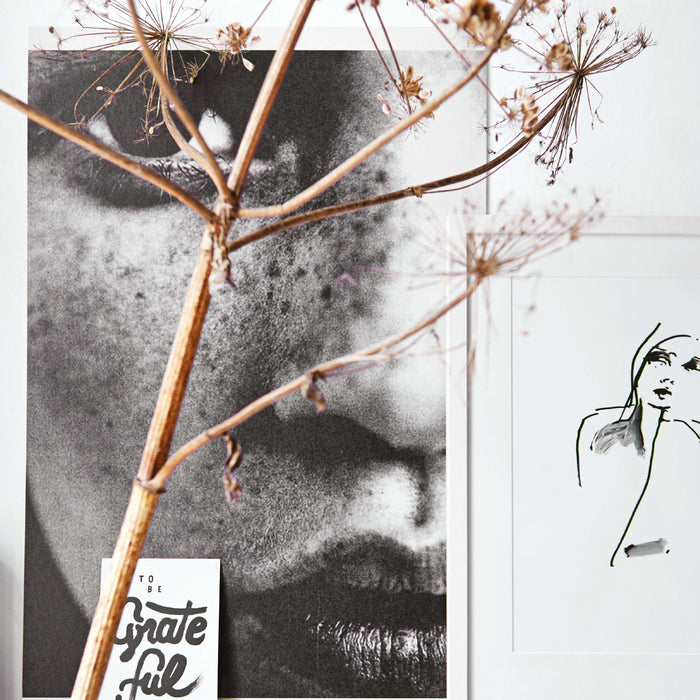 307966-x1.jpg (3918897) 