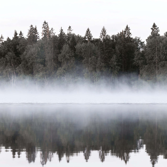 307966-x5.jpg (3918902) 