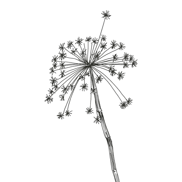 307966-x6.jpg (3918903) 