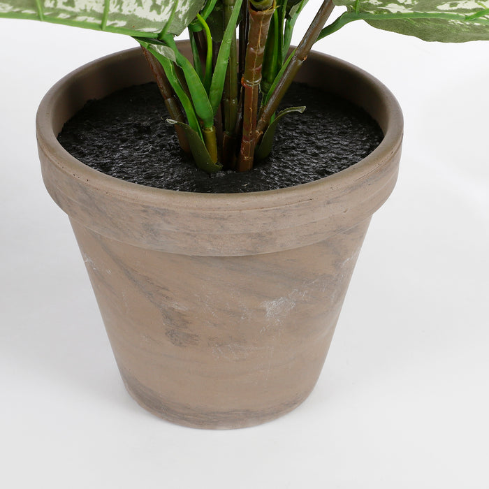 Mica Decorations Dieffenbachia Kunstplant - H70 x Ø55 cm - Groen