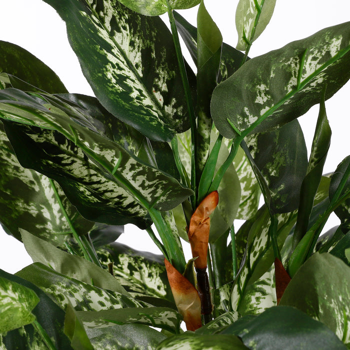 Mica Decorations Dieffenbachia Kunstplant - H70 x Ø55 cm - Groen