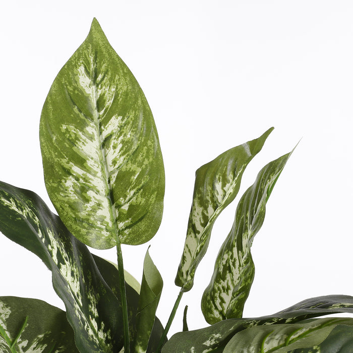 Mica Decorations Dieffenbachia Kunstplant - H70 x Ø55 cm - Groen