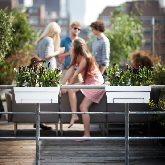 97969-x01.jpg (3927041) 