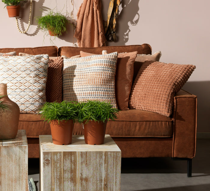 65e5ce5b-3cb1-4b6c-a9e6-9c662b48cf85-afbeelding4.jpg (3927313) 