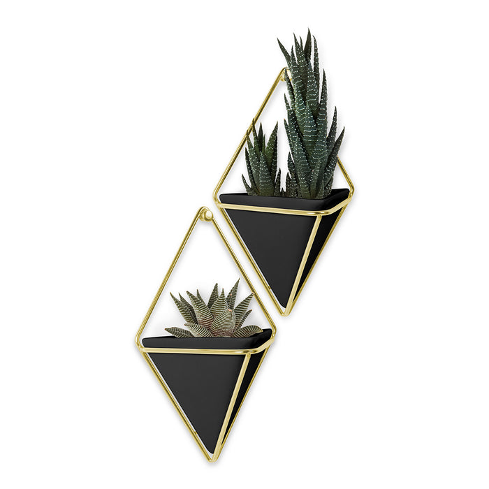 Umbra Trigg Wandhouder en Bloempot