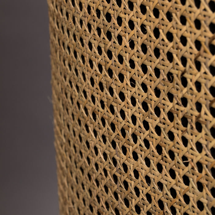 295978-x14.jpg (3948854) 