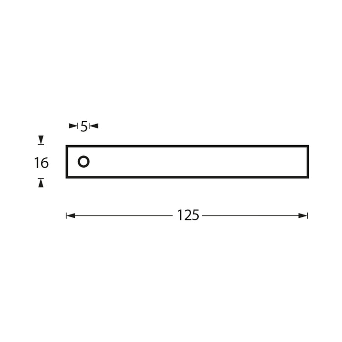 Intersteel WC-rolhouder enkel met pin stop rvs geborsteld