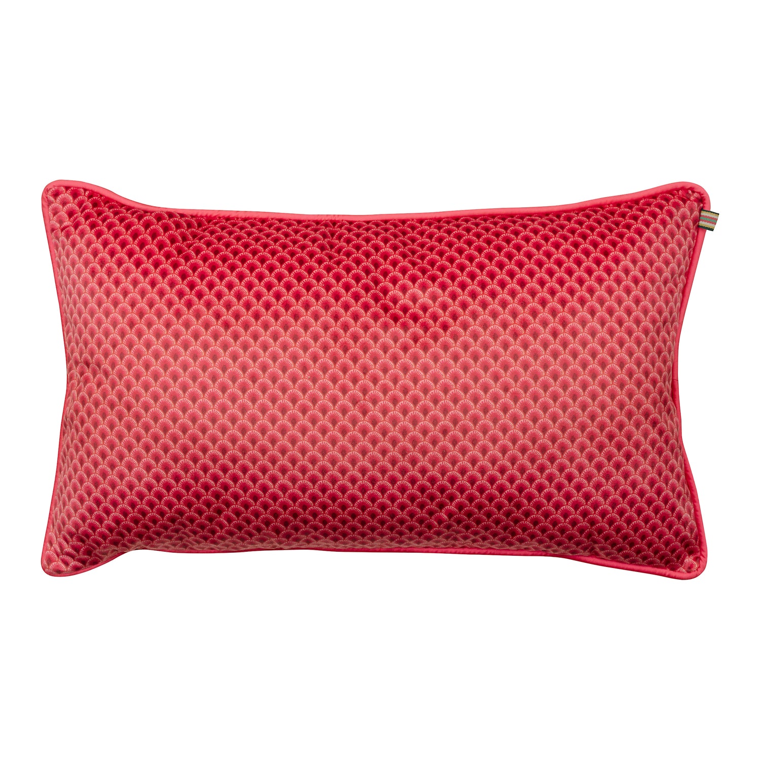 309983-x00.jpg (3965127) 