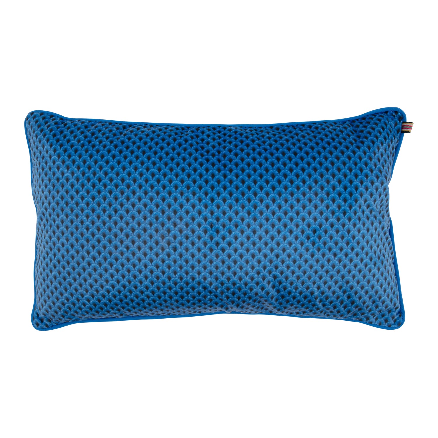 309984-x00.jpg (3967877) 