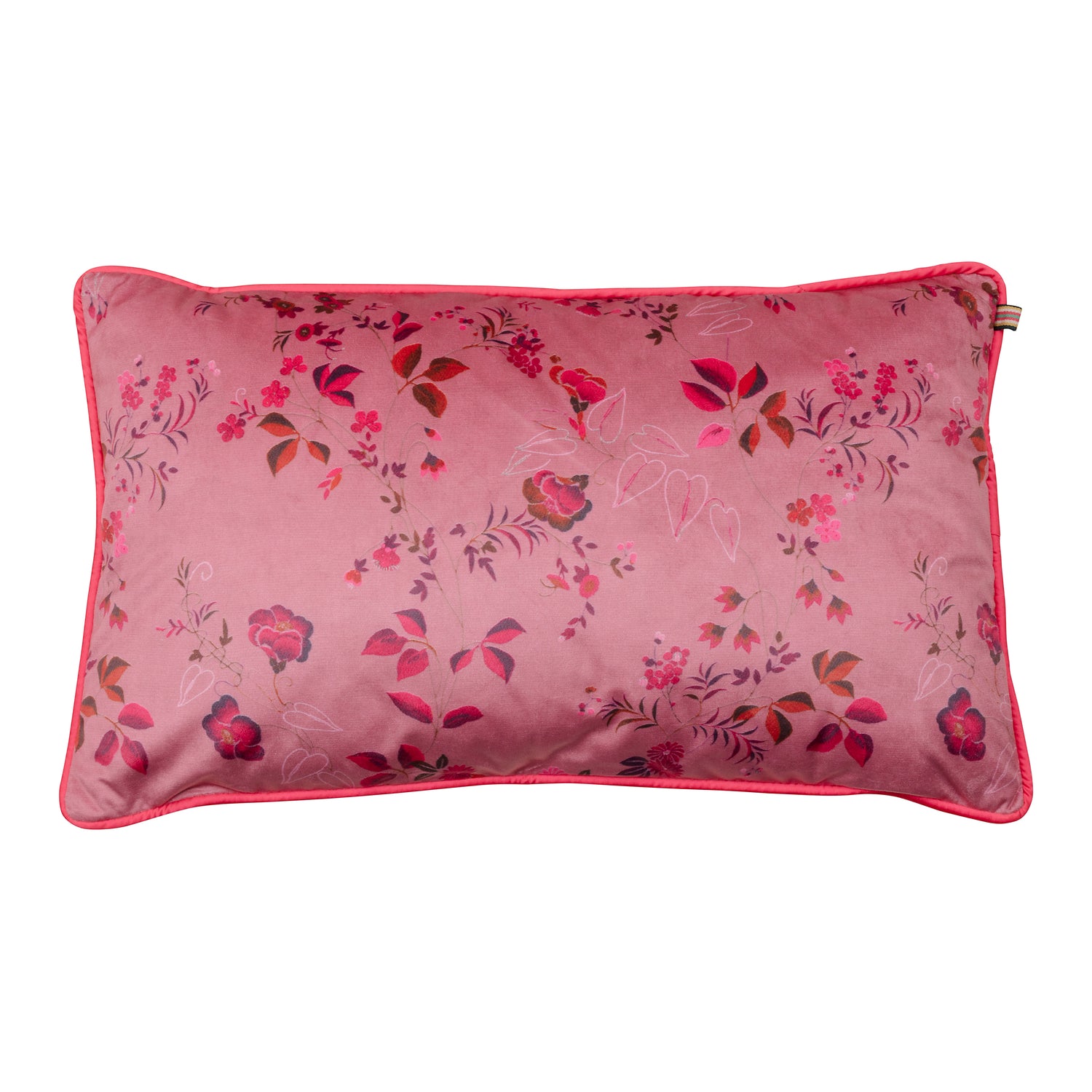 309985-x00.jpg (3970718) 