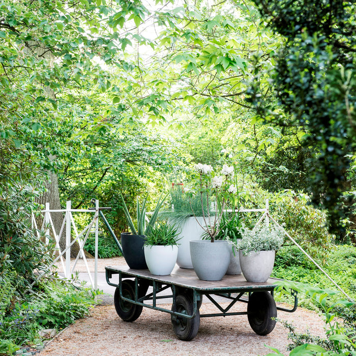 Mica Decorations Bravo Bloempot