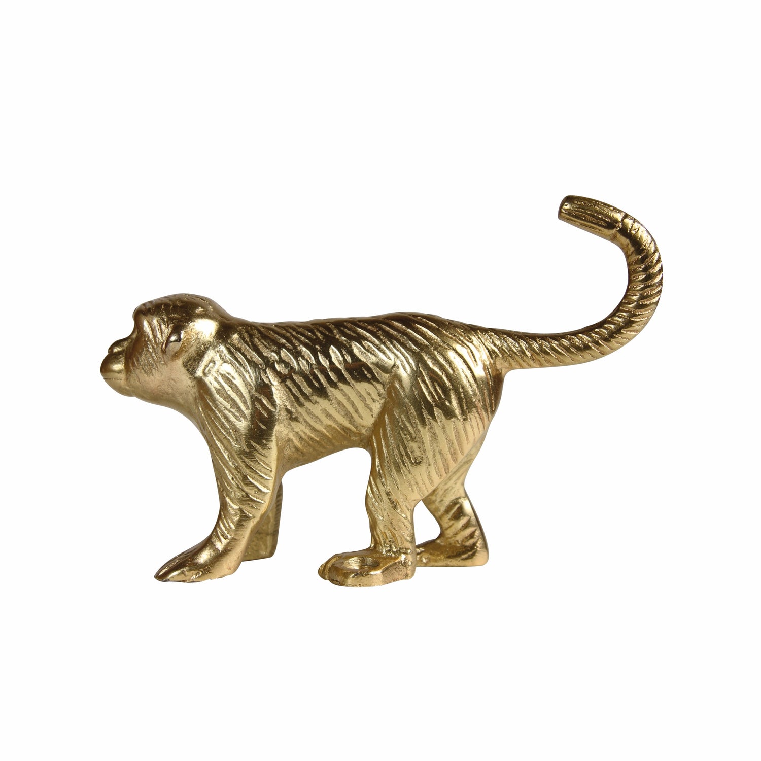 248987-x0.jpg (3973786) 