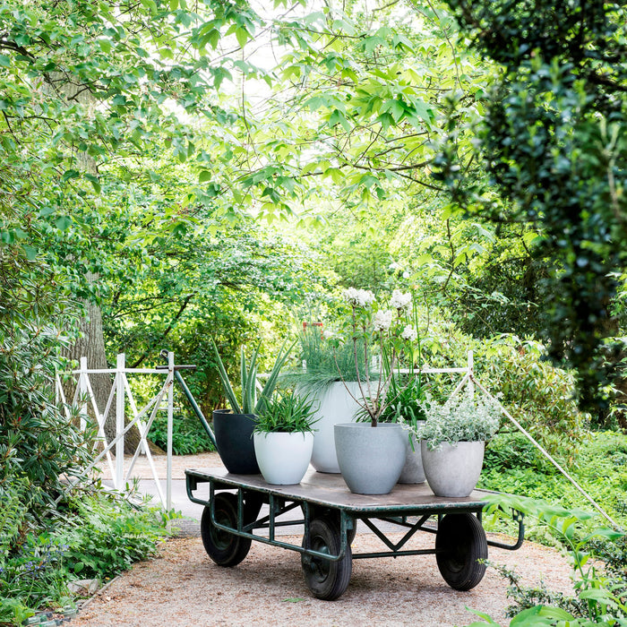 Mica Decorations Bravo Bloempot