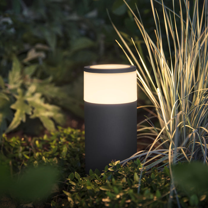 Philips Hue White & Color Ambiance Calla Sokkel 24V - excl. stroomadapter