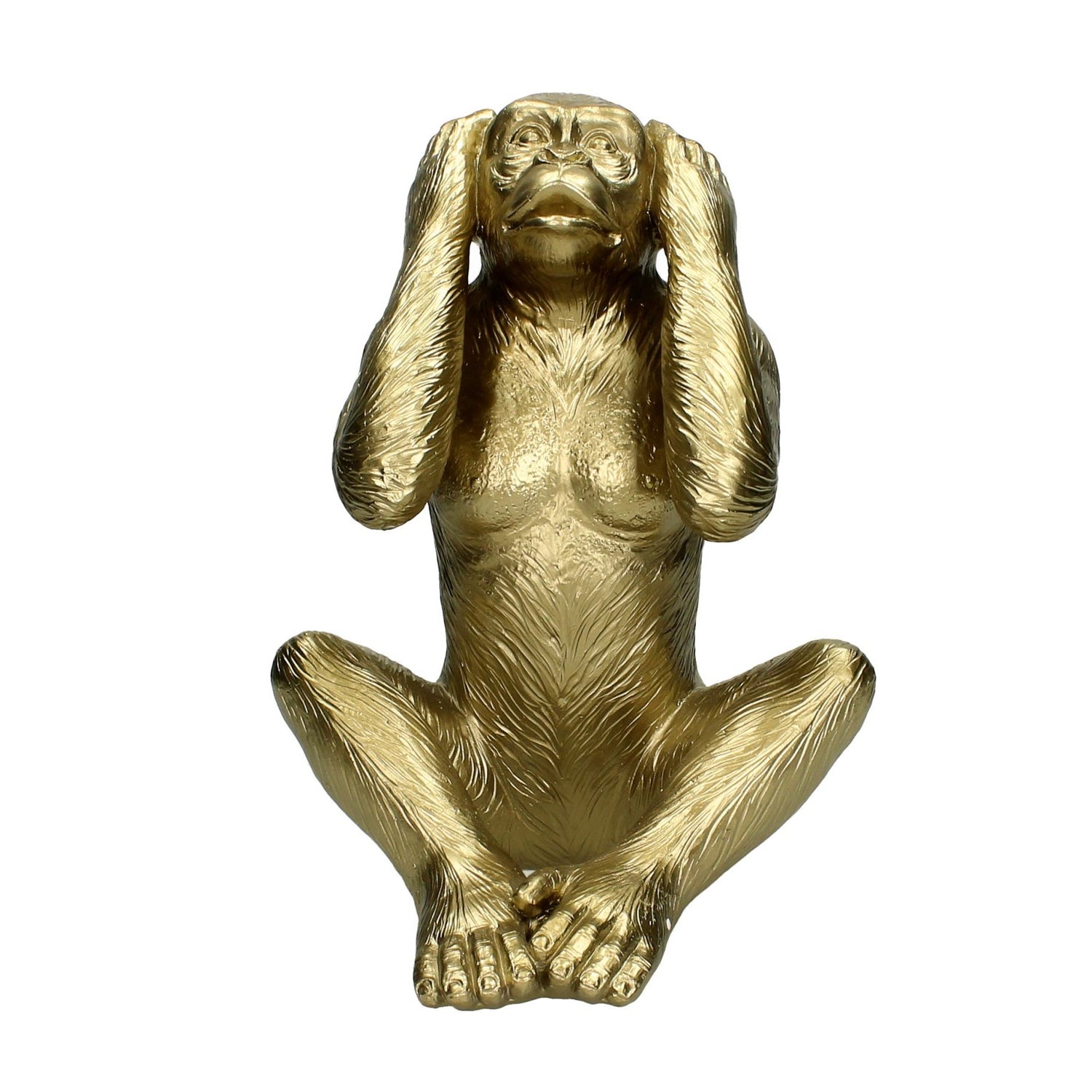 MOOS Bliss Aap Horen