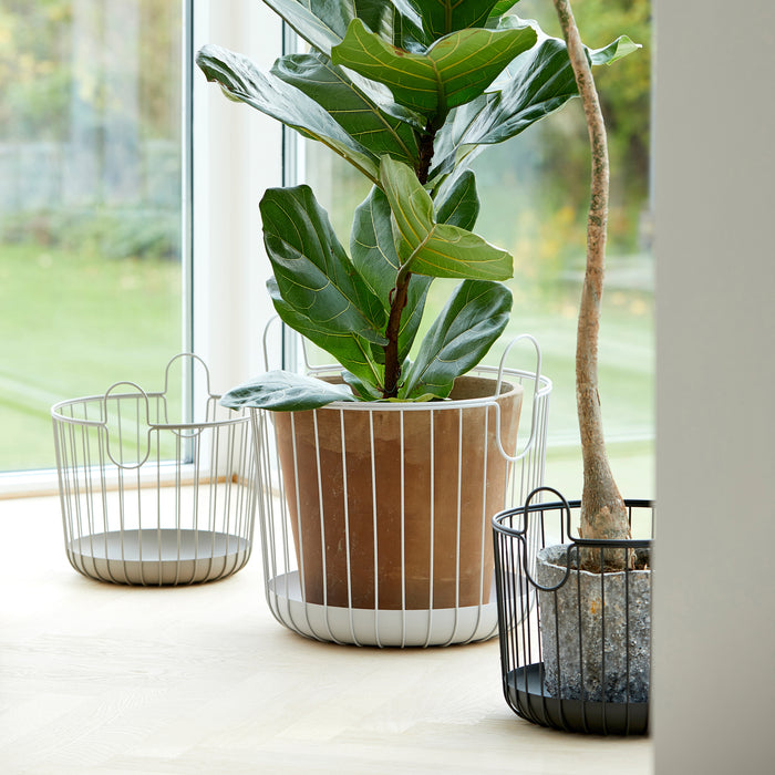 294992-x2.jpg (3987776) 