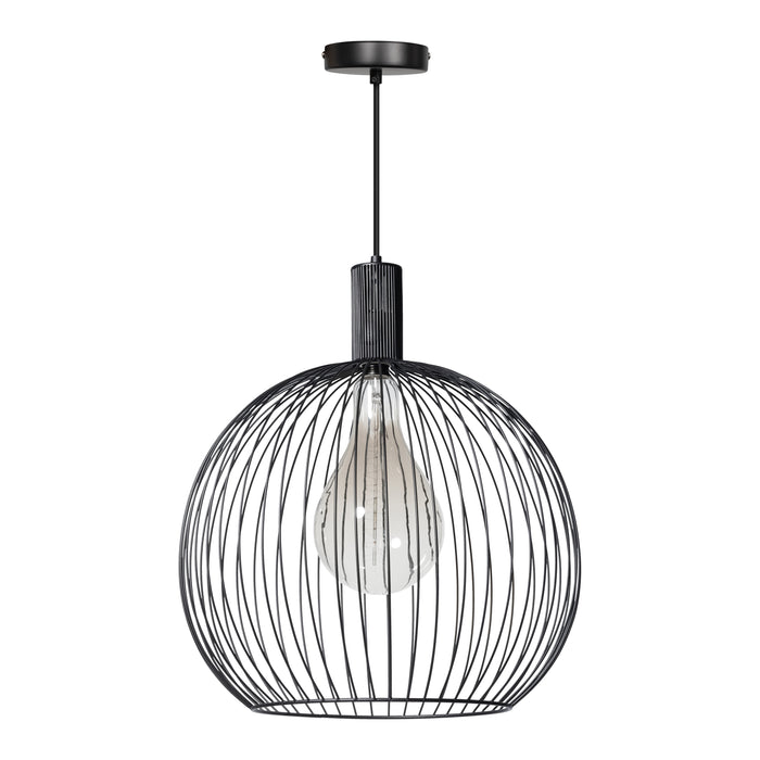 274995-x0.jpg (3996125) 