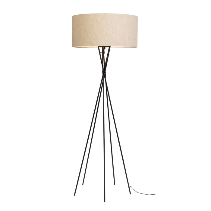 285997-x0.jpg (4001803) 