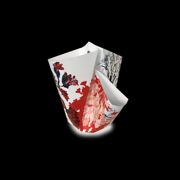 c2d15565-772a-4a9d-bc68-2e4871ce1389-afbeelding4.jpg (4001960) 