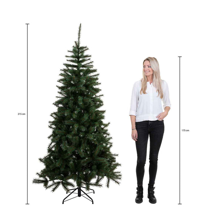 Black Box medford kerstboom groen frosted tips 710 maat in cm: 215x114