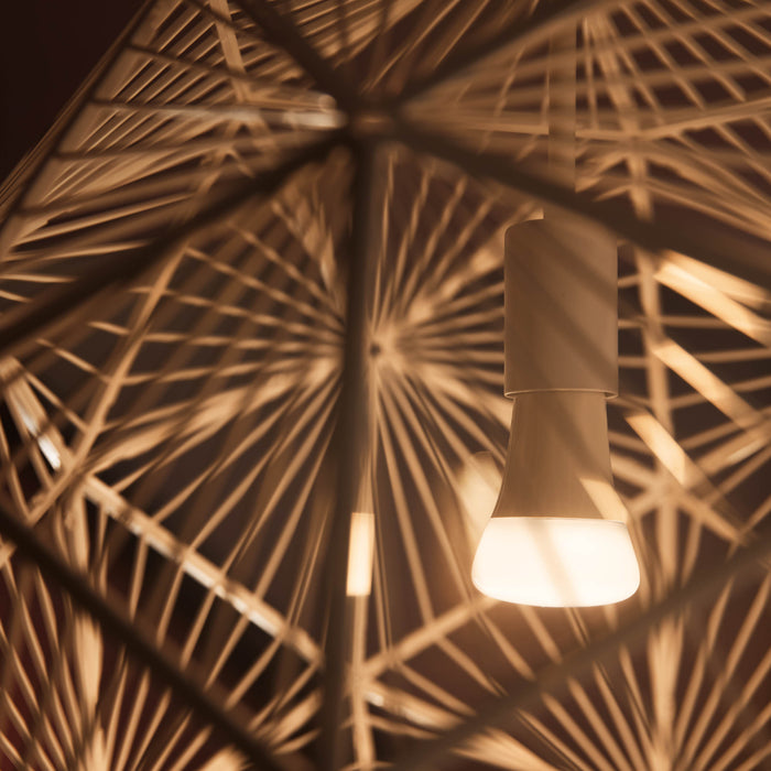 Philips Hue Bluetooth White Ambiance E27 Lichtbron Duo Pack