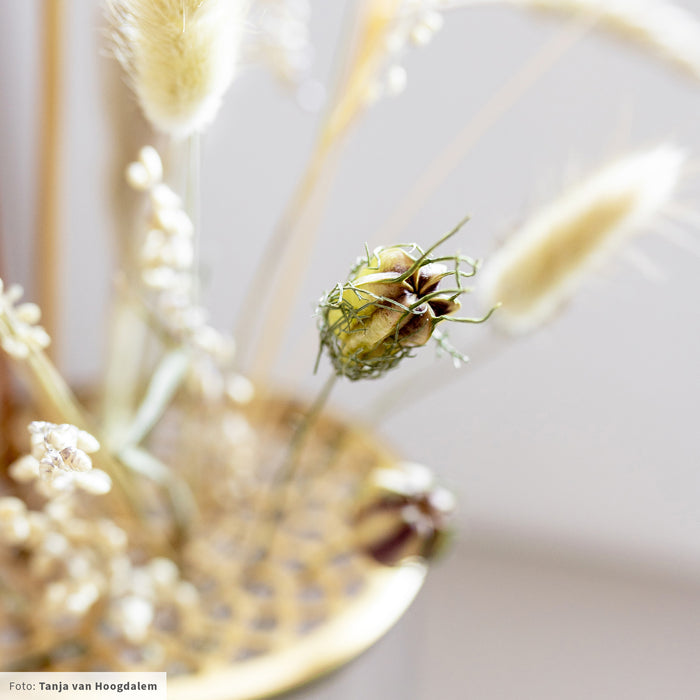 284244-x4.jpg (4058011) 