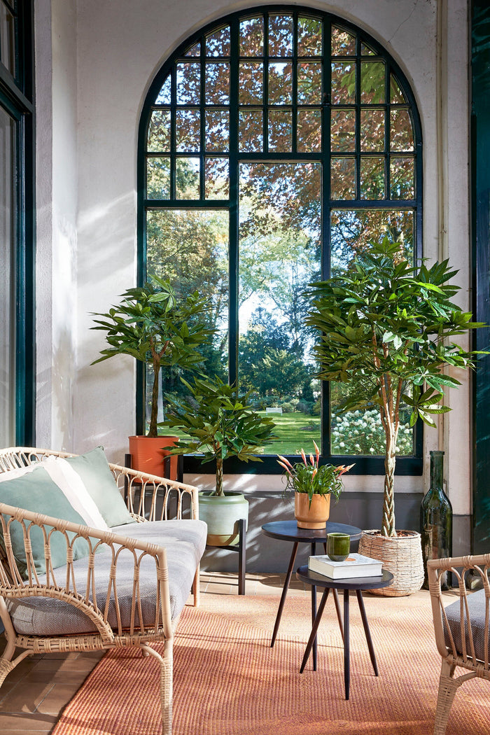 9fa486bf-5816-4da6-acdf-379a05ebfccb-afbeelding8.jpg (4058635) 