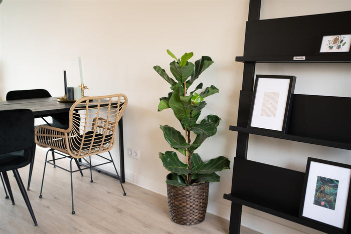 MaximaVida wandrek Jamie zwart boekenrek - 180 x 80 cm