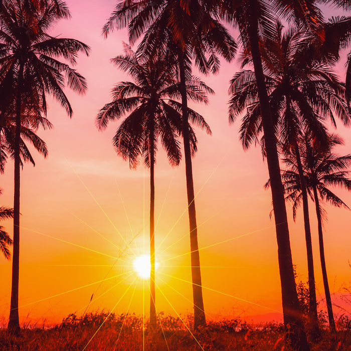 286448-x0.jpg (4084505) 