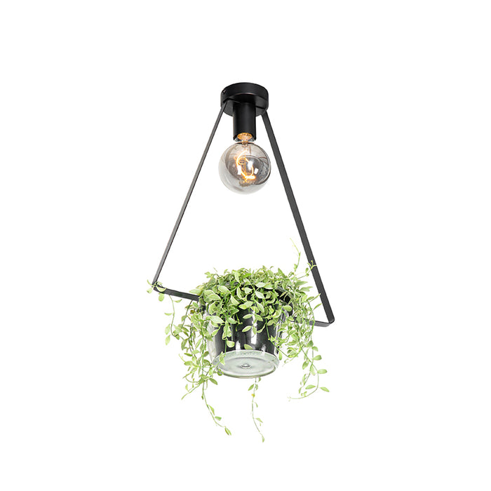 QAZQA Plafondlamp roslini - Zwart - Modern - L 35cm
